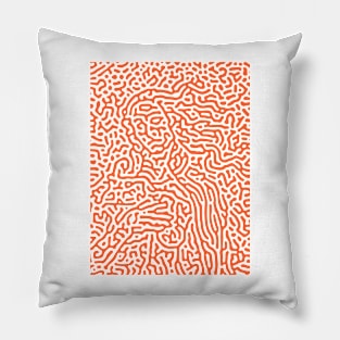 Abstract The Birth of Venus, modern art Pillow