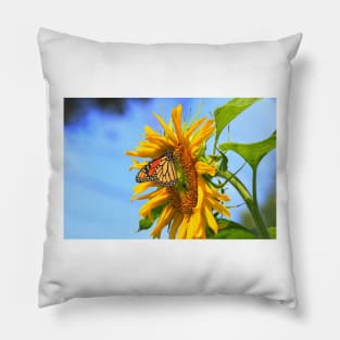 Monarch Butterfly closeup on a yellow Kansas Sunflower. Pillow