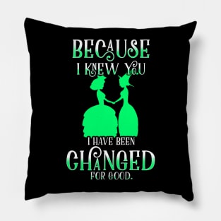 Because I Knew You I've Been Changed For Good Pillow