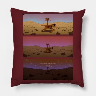 Opportunity Pillow