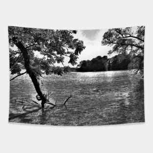 Tree in a Lake Black and White Digital Pencil Drawing Tapestry