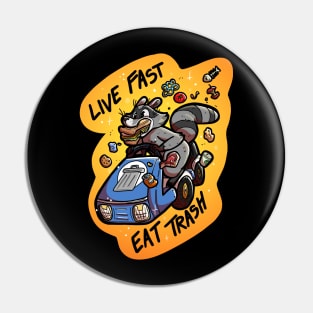 Live Fast Eat Trash Pin