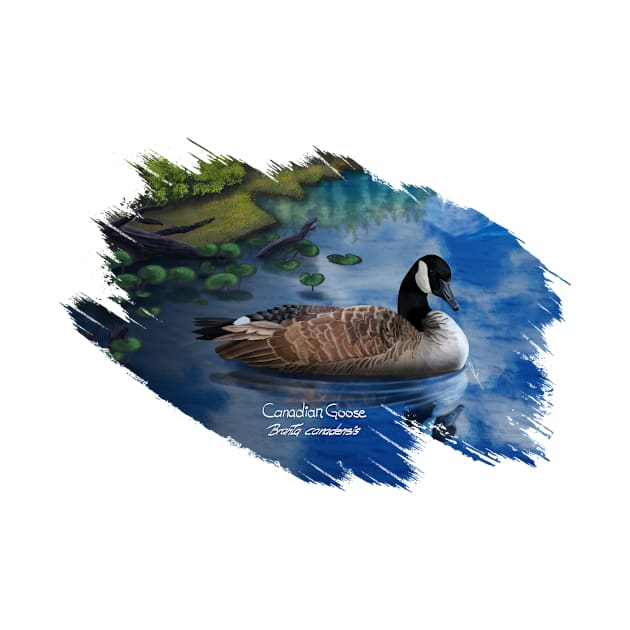 AnemalSoul - Canadian Goose by AnemalSoul