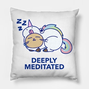 Deeply Meditated Pillow