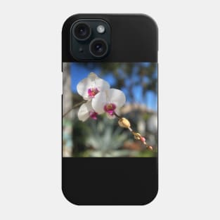 White Orchid Trio Pink Centers Phone Case