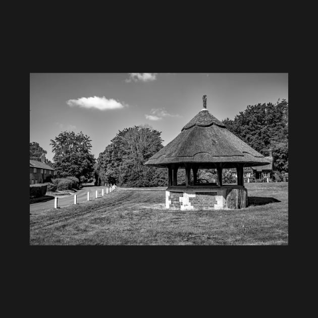 Thatched building on Woodbastwick green, Norfolk by yackers1