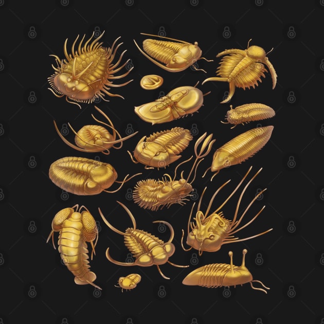 Golden Trilobites by Wagglezags