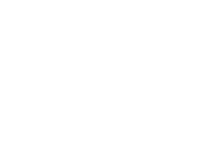 I'm Only Speaking To My Dog Today Dog Lover T - Shirt Dog Owner, Pug Lover, Fur Baby Lover Shirt For Fur Mama And Fur Dad Magnet