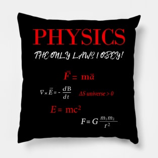 Physics Pillow