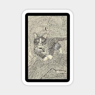 Luna cat kitty Magnet