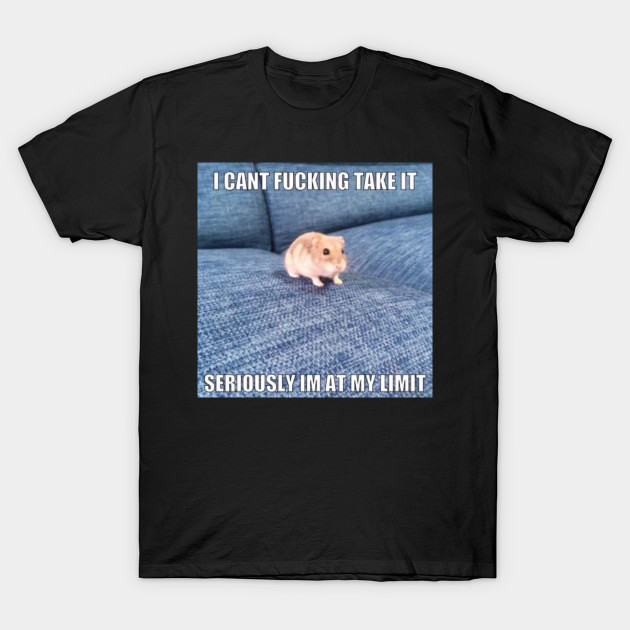 I M At My Limit Hamster Meme T Shirt Teepublic