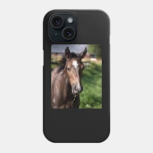 TB COLT Phone Case