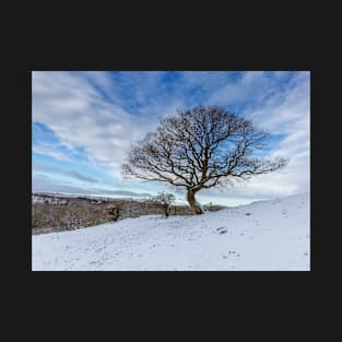 Muggleswick Tree T-Shirt