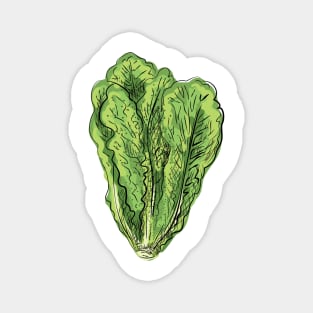 Roamine Lettuce Magnet