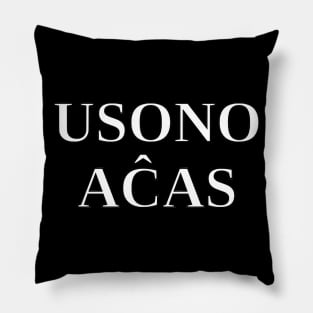 Usono Achas Pillow