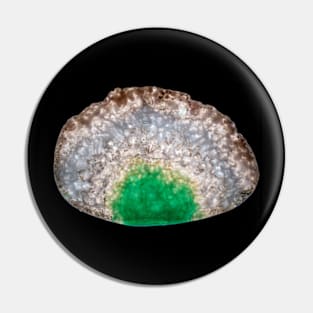 Splash of green agate Pin