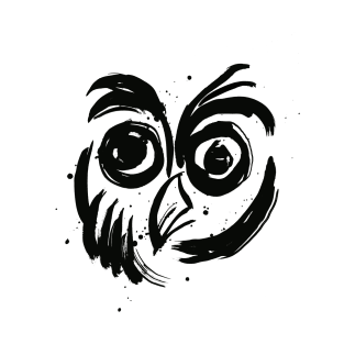 Owl T-Shirt