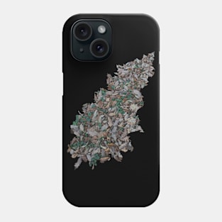 Autumn Leave(s) Phone Case