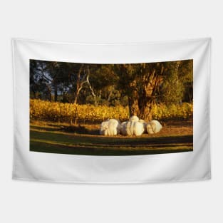 Autumn in the Vines - Adelaide Hills Wine Region - Fleurieu Peninsula - South Australia by Avril Thomas Tapestry