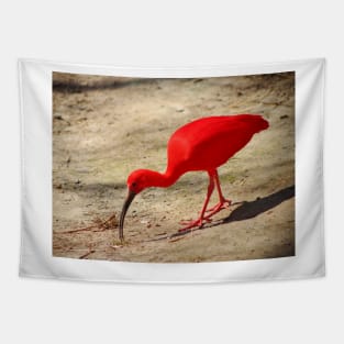 Scarlet Ibis Tapestry