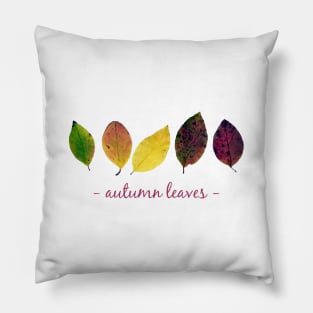 Autumn leaves Pillow