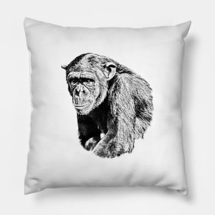 Chimpanzee Pillow