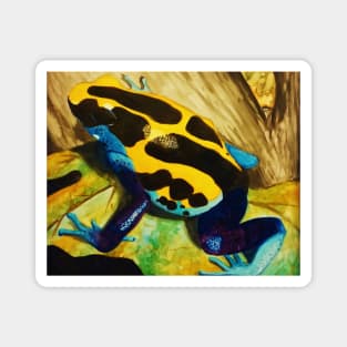 Poison Dart Arrow Frog--Blue and Yellow Magnet