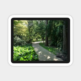 Garden path looks beautiful in sunlight Magnet