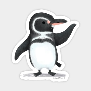 Galapagos Penguin Magnet