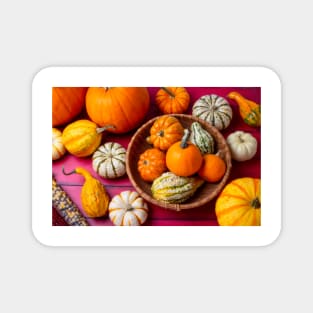 Autumn Pumpkins On Red Boards Still life Magnet