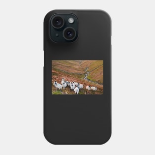 Swaledale Sheep in Weardale Phone Case