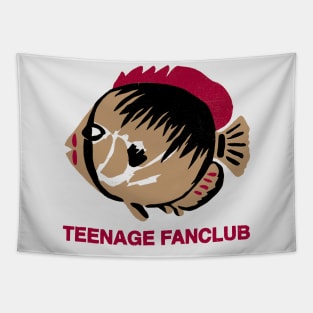 Teenage Fanclub Tapestry