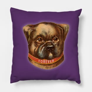 FOREVER DOG V3 Pillow