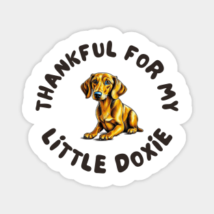 Thankful for my doxie Magnet