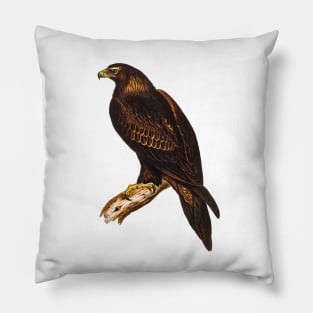 Wedge-tailed Eagle Vintage Illustration Pillow