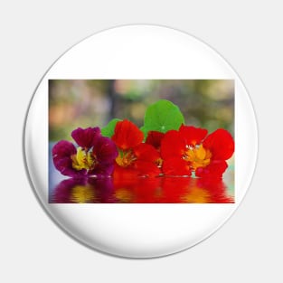 Three Nasturtiums Pin