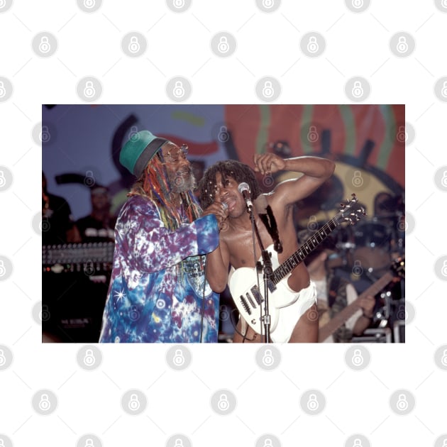 George Clinton Photograph by Concert Photos