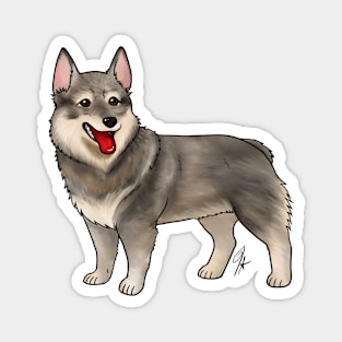 Dog - Swedish Valhund - Stub Tailed Gray Magnet