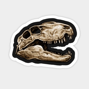 Dimetrodon Skull Sticker Magnet