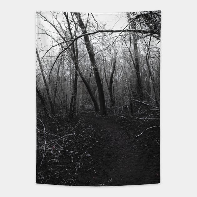 Winter sorrow path Tapestry by human_antithesis