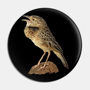 Lark - Bird in Kenya / Africa Pin