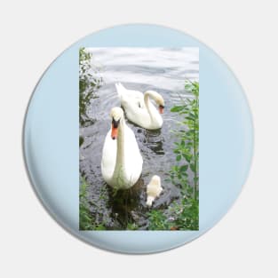 Notre Dame Swans Pin