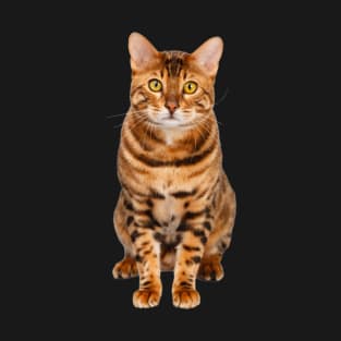 Amazing Bengal Cat T-Shirt