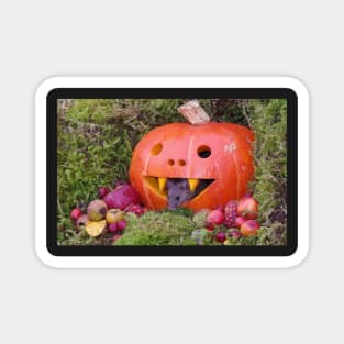 halloween pumpkin Autumn wild mouse Magnet