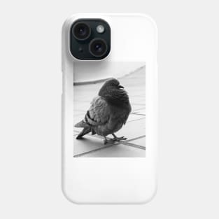 City bird Phone Case