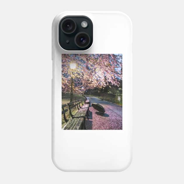 Central Park Rainy Spring Phone Case by igjustin