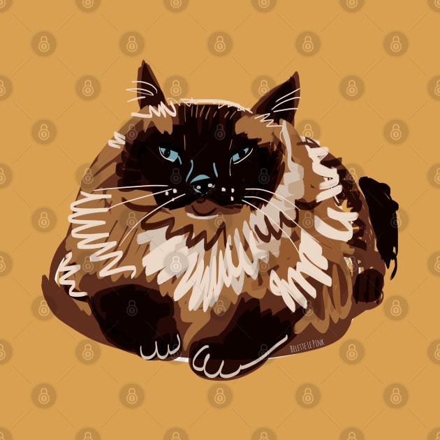 Sweet blue eyed Himalayan Cat by belettelepink