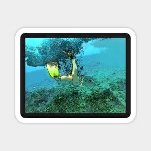 Snorkeling Magnet