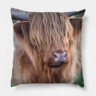 Highland Cow II Pillow