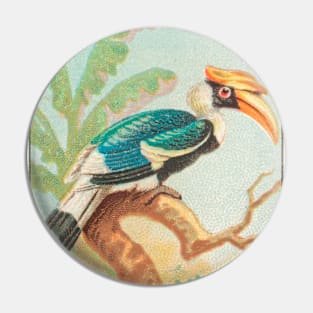 Concave-Casqued Hornbill Pin